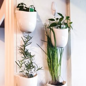 Herb Pots + Hooks